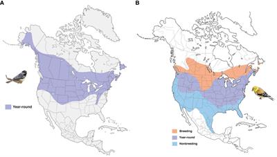 Gene expression variation in geographically diverse populations of two North American songbird species